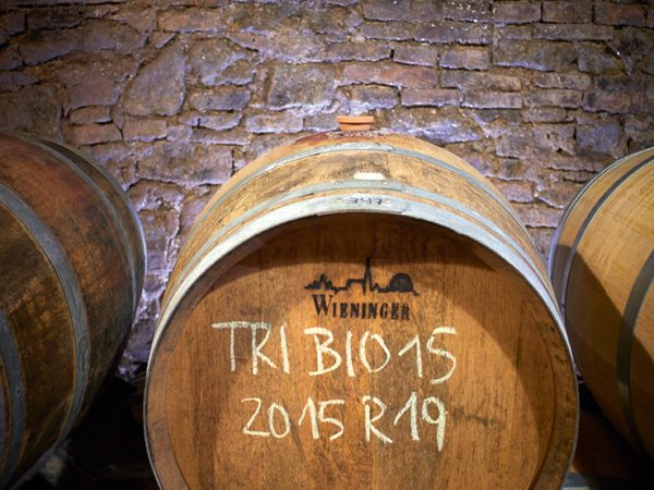 barrel Wieninger winery
