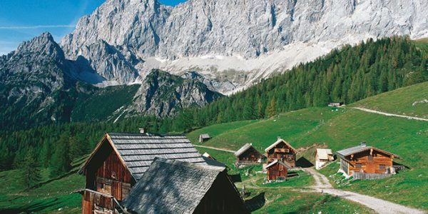 Neustattalm Bei Ramsau, Steiermark ® Oêsterreich Werbung, Fotograf Jezierzanski